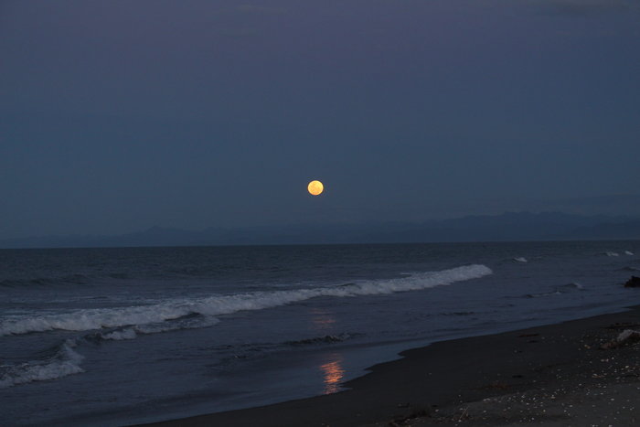 Ohope-Beach-Full-Moon