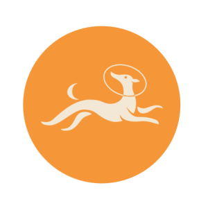 Picture of Whippet Team